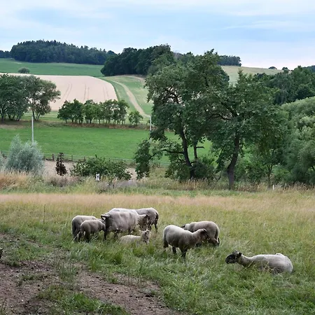 02 Jurta Hnědá V Jablečném Sadu * Chotetice