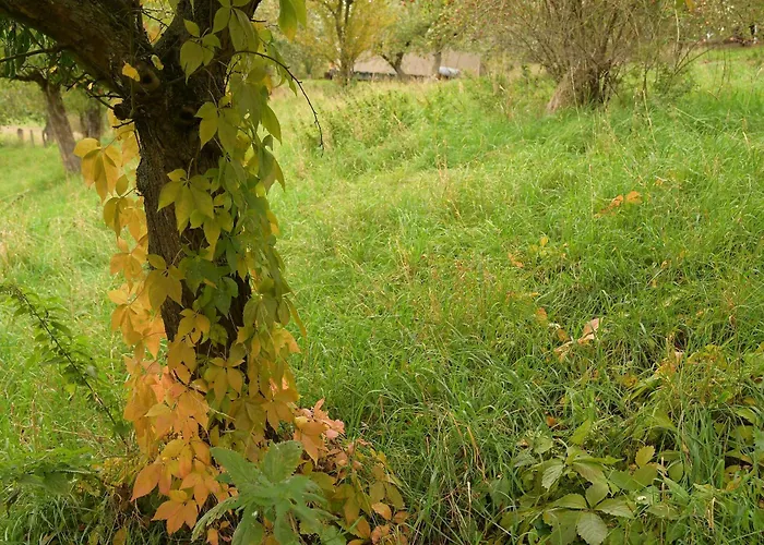 02 Jurta Hneda V Jablecnem Sadu خيمة فخمة